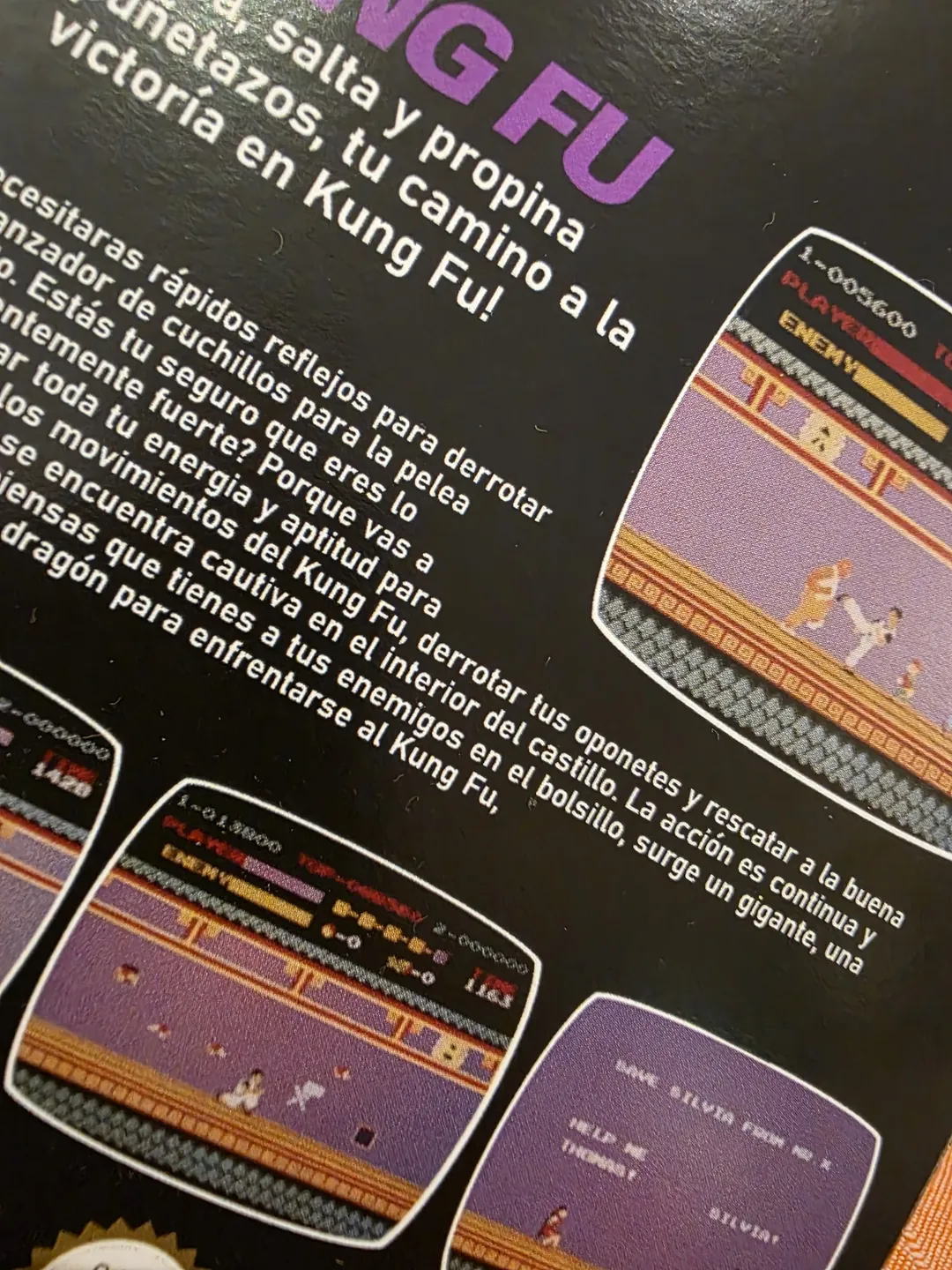 Detalle de la trasera de Kung Fu para NES
