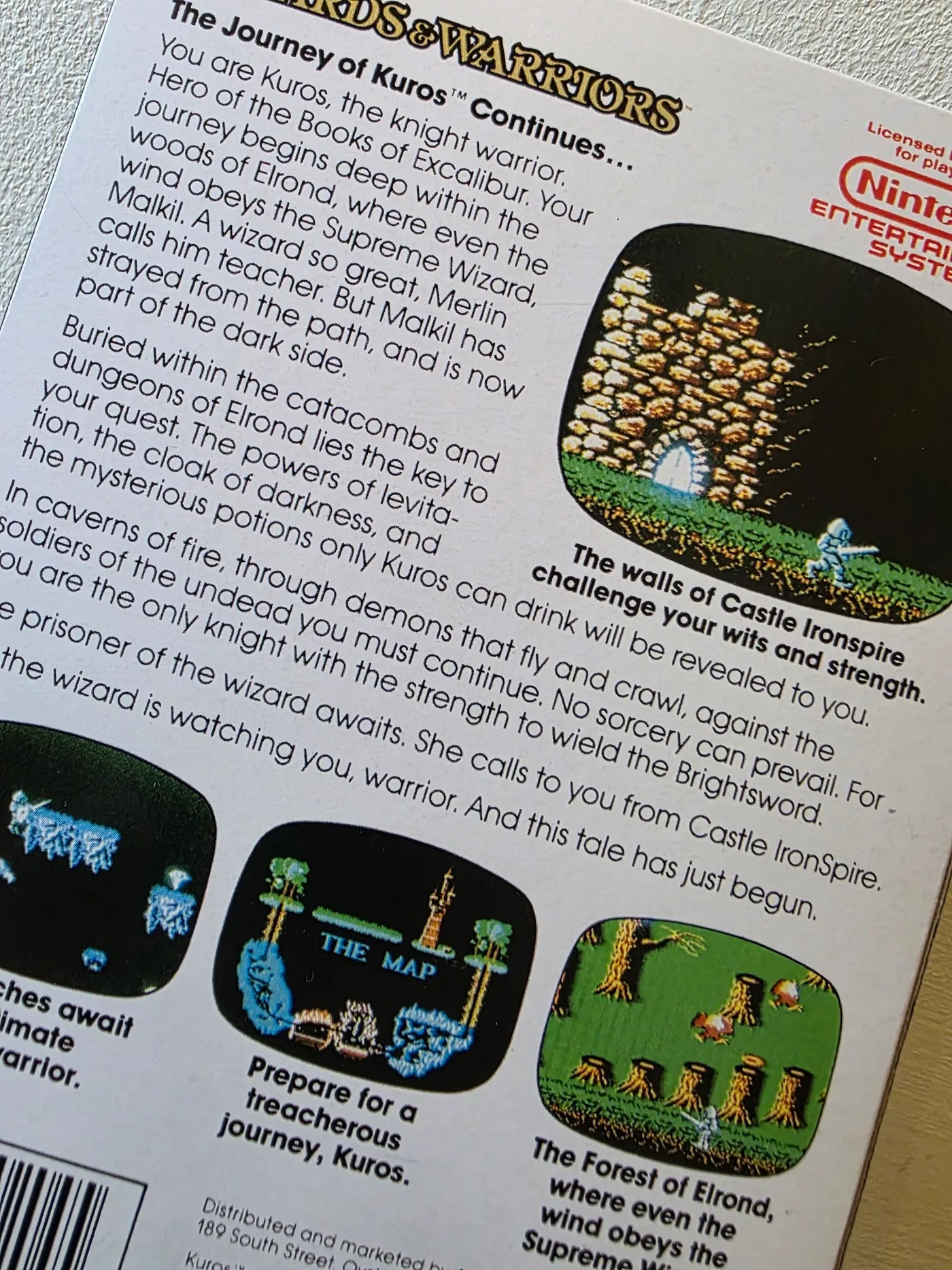 Detalle de la trasera de Wizards & Warriors para NES